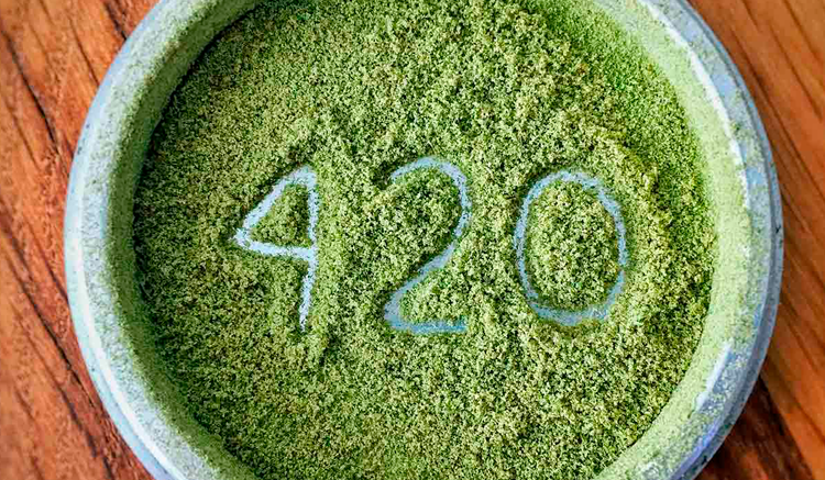 Historia del 420: ¿Por qué el día mundial de la marihuana se celebra el 20 de abril?